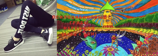 МДПВ Осташков