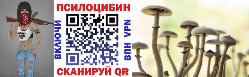 Галлюциногенные грибы GOLDEN TEACHER  Купить где  Черняховск 